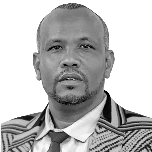 Mesfin Menza Mamo